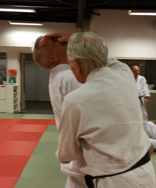kokorodo training