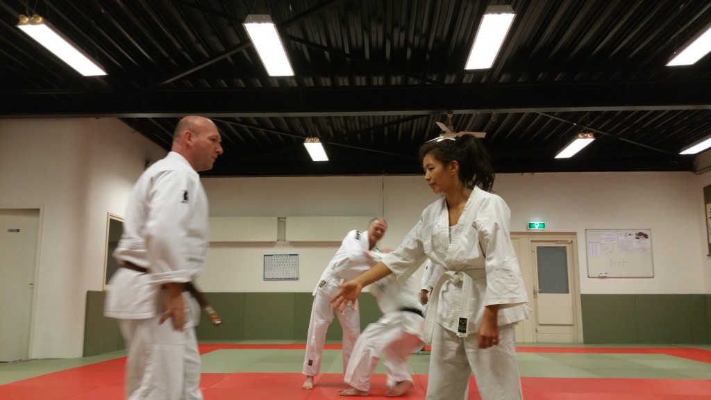 kokorodo training